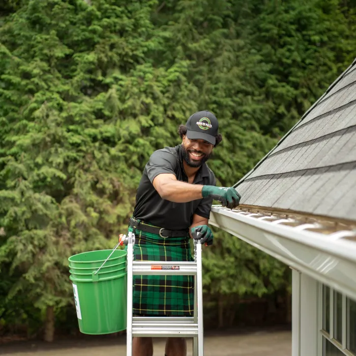 Gutter Cleaning